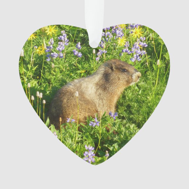Ornamento Marmot no Monte Rainier Wildflower (Frente)
