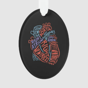 Ornamento Médico de Anatomia Especialista em Coração Biologi