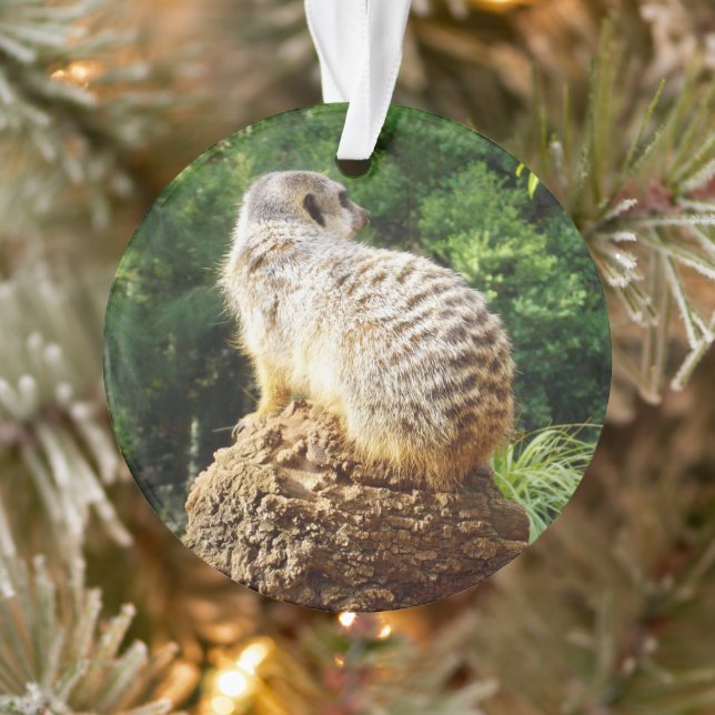 Ornamento Meerkat Com Vistas Alta, (Árvore)