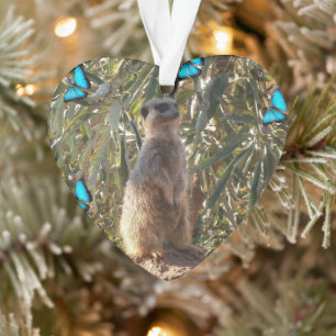 Ornamento Meerkat E Borboletas,