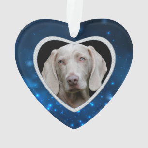 Ornamento Memória Pet de Frame de Faux Diamond Forever