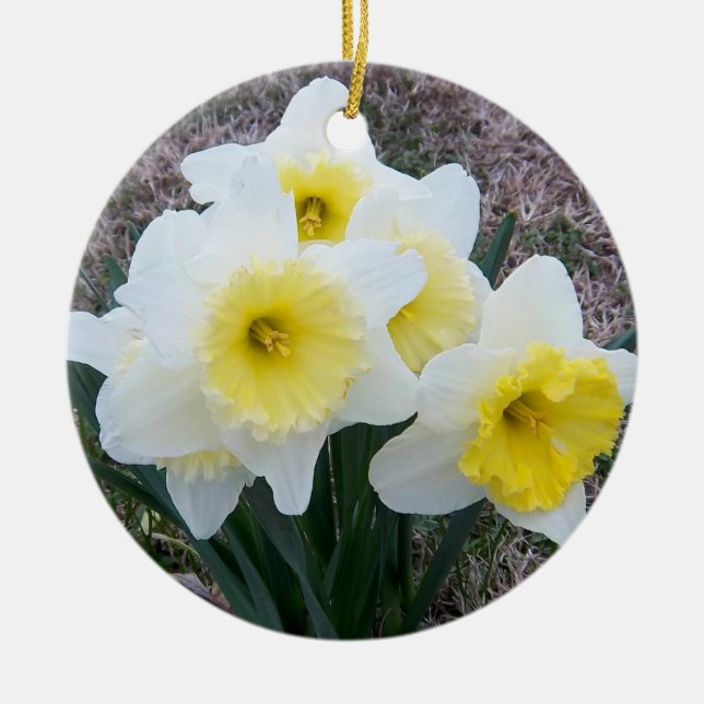 Ornamento Memorial Daffodils (Frente)