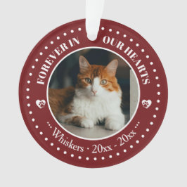 Ornamento Memorial de Foto e Nome de Gato para Sempre em Nos