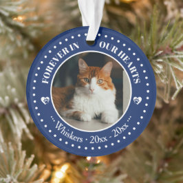 Ornamento Memorial de Foto e Nome de Gato para Sempre em Nos
