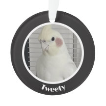 Memorial de Foto Personalizado de Cacatua