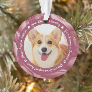 Ornamento Memorial do Cachorro Rosa Personalizado 2 Pet Foto