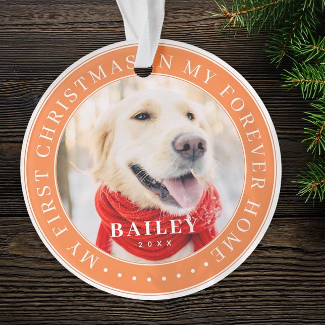 Ornamento Meu Primeiro Natal para sempre - Foto Moderna de P (Criador carregado)