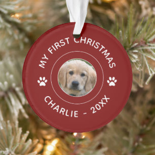 Ornamento Meu primeiro nome de Natal Foto Diversão Cachorro