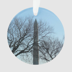 Ornamento Monumento a Washington em Fotografia Viagem de inv