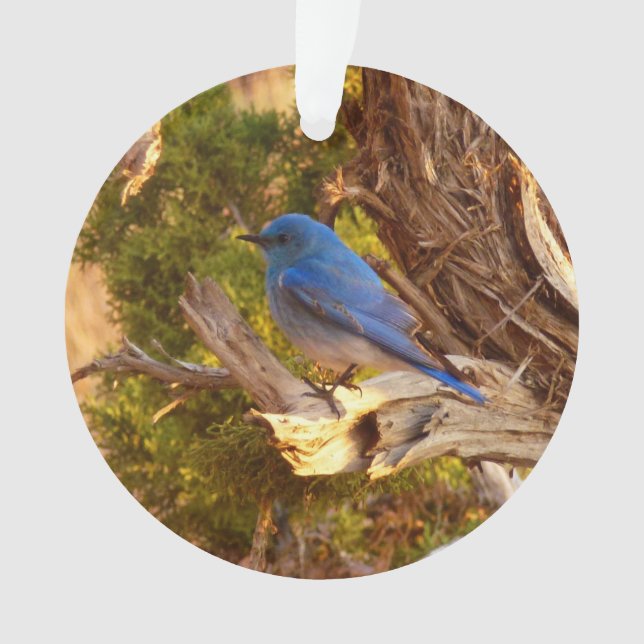 Ornamento Mountain Bluebird no Parque Nacional de Arches (Frente)