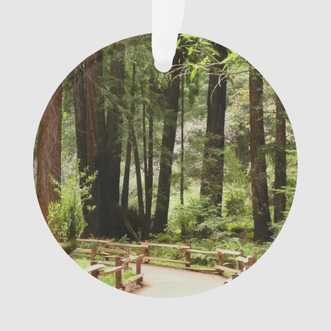 Ornamento Muir Woods Path I Nature Photoics (Frente)