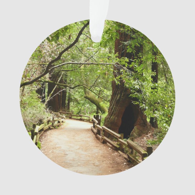Ornamento Muir Woods Path II - Fotografia natural (Frente)