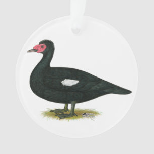 Ornamento Muscovy Drake preto