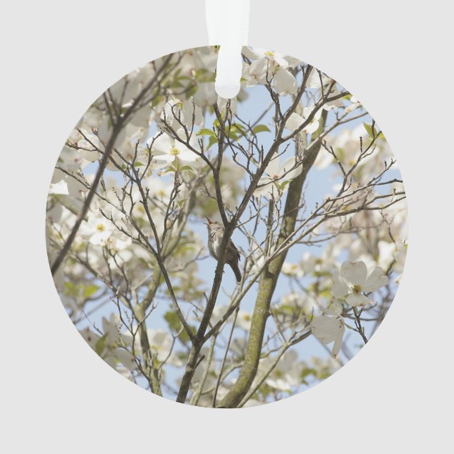 Ornamento Música no Dogwood (Verso)