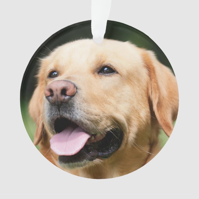 Ornamento Na memória - Memorial personalizável do Dourado la (Frente)