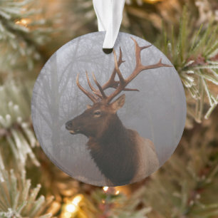 Ornamento Na moda e Elk de Natal Elegante