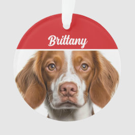 Ornamento Natal do Brittany Spaniel Dog Holiday