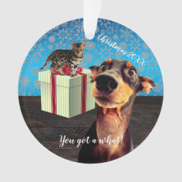 Ornamento Natal do Doberman chocado