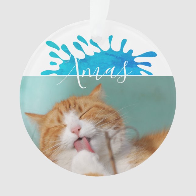 Ornamento Natal do Script do Cat Pet Photo Xmas (Frente)