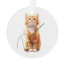 Natal Felino: Gato Festivo