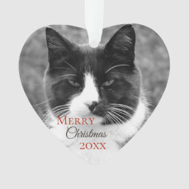 Ornamento Natal preto e branco do gato