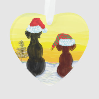 Ornamento natal springador
