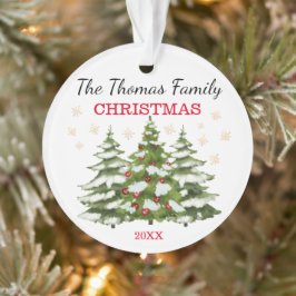Ornamento Navidades de árbol personalizadas