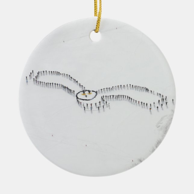 Ornamento nevado da coruja (Frente)