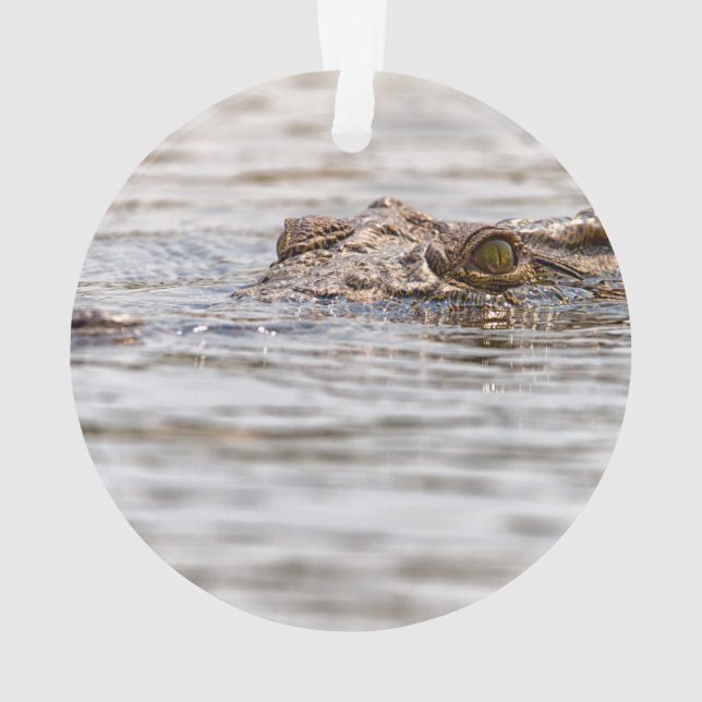 Ornamento Nile Crocodilo (Verso)