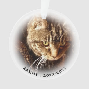 Ornamento No Loving Memory 2 Photo Name Cat Dog Pet Memorial