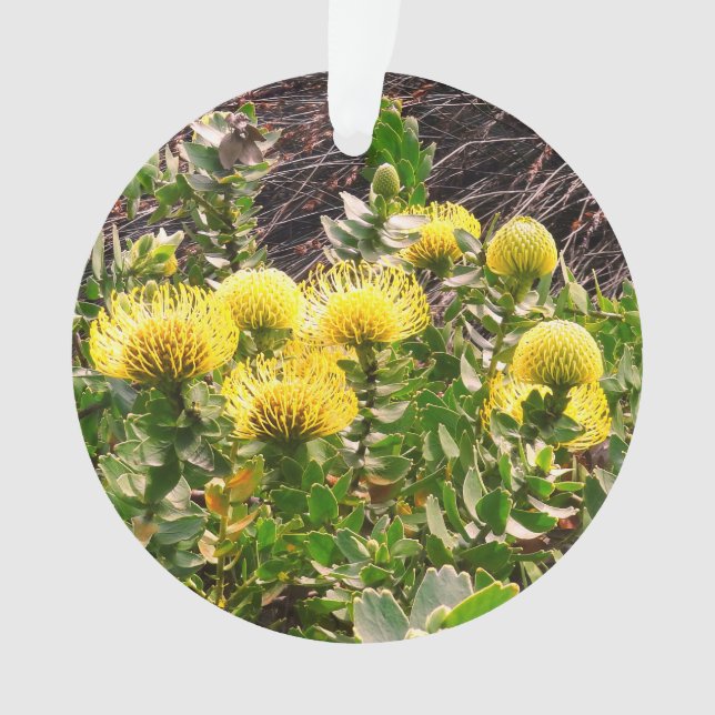 Ornamento Nodding Pincushion Yellow Bird #1 Ornament (Frente)