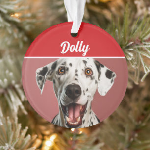 Ornamento Nome do Cão Dalmata Foto Férias Natal