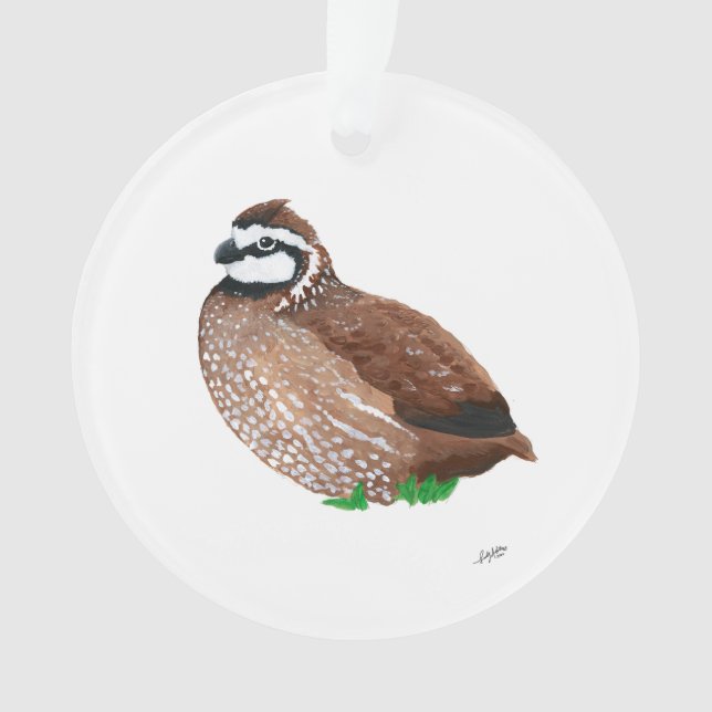 Ornamento Norte Bobwhite (Frente)