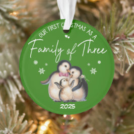Ornamento Nosso Primeiro Natal Como Família dos Três
