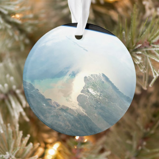 Ornamento O Delta Do Rio Irrawaddy Na Birmânia (Myanmar). (Árvore)