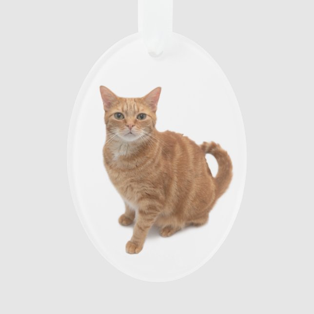 Ornamento Orange Cat (Frente)