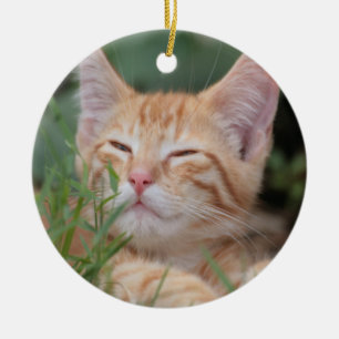 Ornamento Orange Tabby Kitten