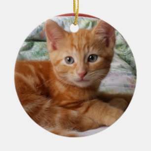 Ornamento Orange Tabby Kitten