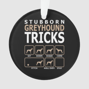 Ornamento Orgulho Lgbt Flag Gay Ser Presentes De Sobressalto