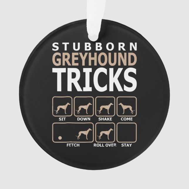 Ornamento Orgulho Lgbt Flag Gay Ser Presentes De Sobressalto (Frente)