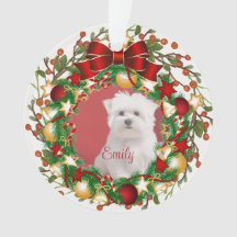 Ornament acrílico personalize-o com sua imagem
