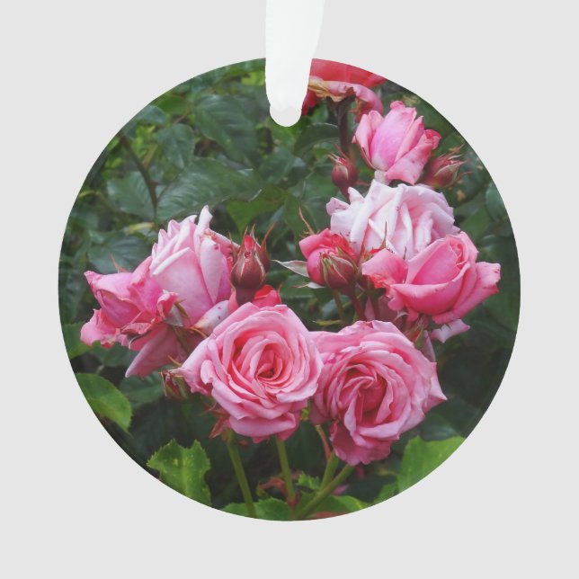 Ornamento Ornament Gene Boerner Rosa nº 1 (Frente)