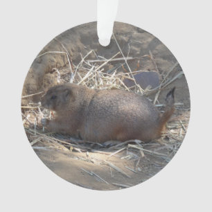 Ornamento Ornament # prairie Dog de cauda negra