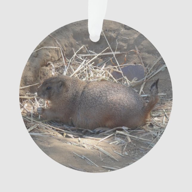 Ornamento Ornament # prairie Dog de cauda negra (Frente)