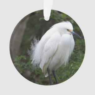 Ornamento Ornament Snowy Egret