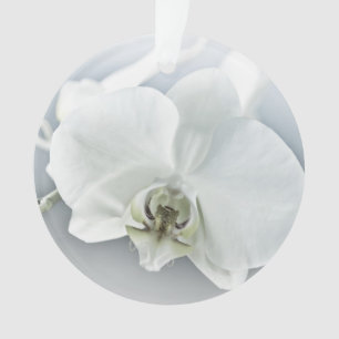 Ornamento Orquídea de Phaleonopsis Branca