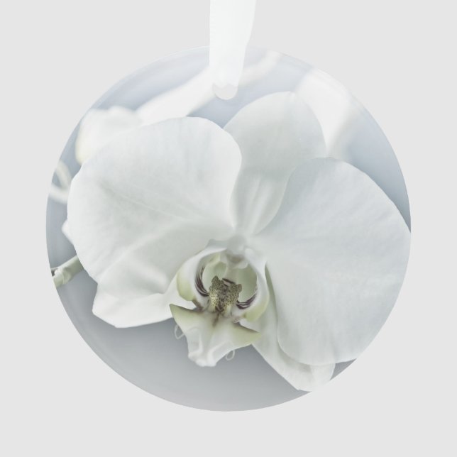 Ornamento Orquídea Phalaenopsis Branca (Frente)