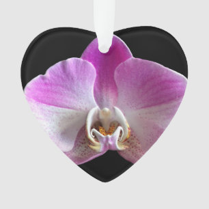 Ornamento Orquídea roxa e branca