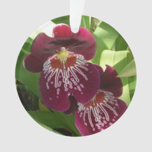 Ornamento Orquídeas Maroon II Floral Elegante