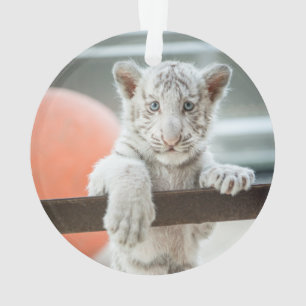 Ornamento Os Meninos -